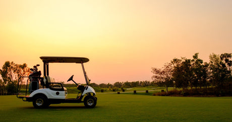 A white golf cart with a bag of clubs in the back sitting on the green in front of a row of trees during sunset.