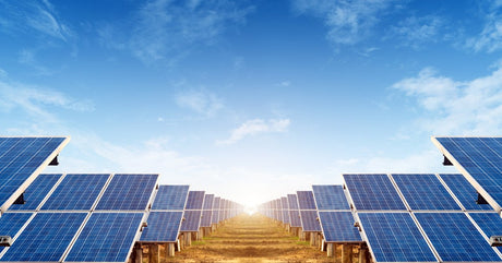 Rows of solar panel arrays disappearing into the distance with the sun rising behind them beneath a blue sky.