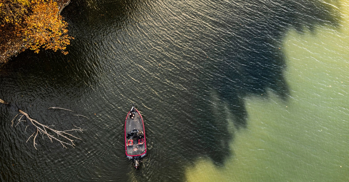 A bass fisherman fishing on a lake in the fall. The large tree line casts a wide shadow over the green water.